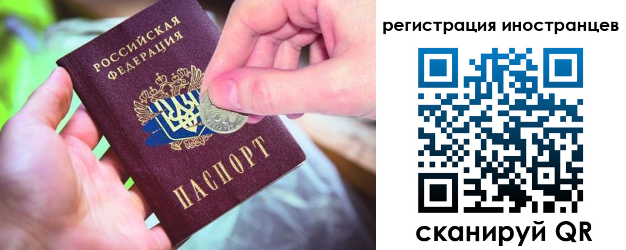 прописка для работы в Покрове